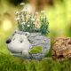 Panam Mossy Hedgehog Planter