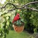 Panam Cardinal Hanging Acorn Bird House